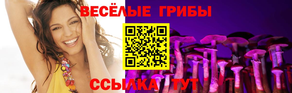 Евпатория  Псилоцибиновые грибы мухоморы  Вход с VPN 