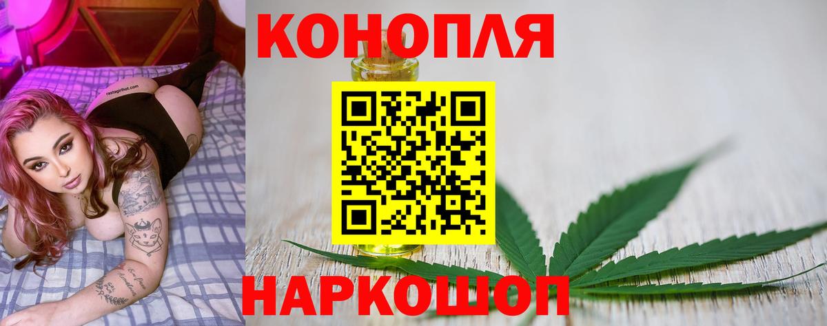 Шишки марихуана конопля  Канабис ГИДРОПОН  Вход с VPN  Евпатория 